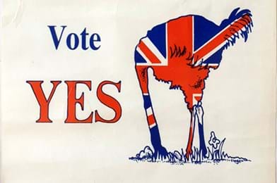 EU 1975 poster.jpg